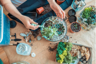 Succulents, stones, shells and greenery being arranged in a terrarium with special tools